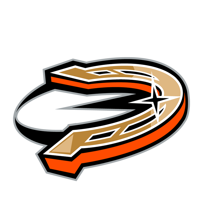Anaheim Ducks Entertainment logo iron on heat transfer